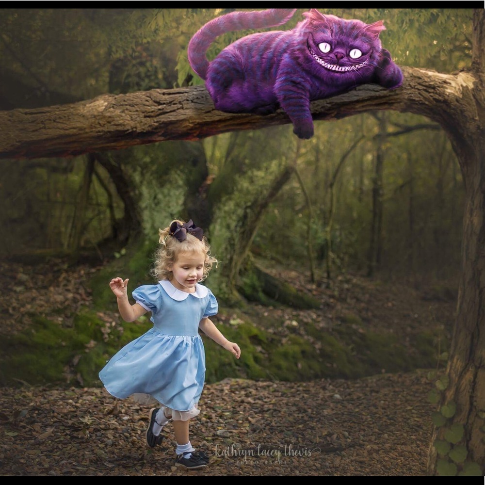 Alice costume